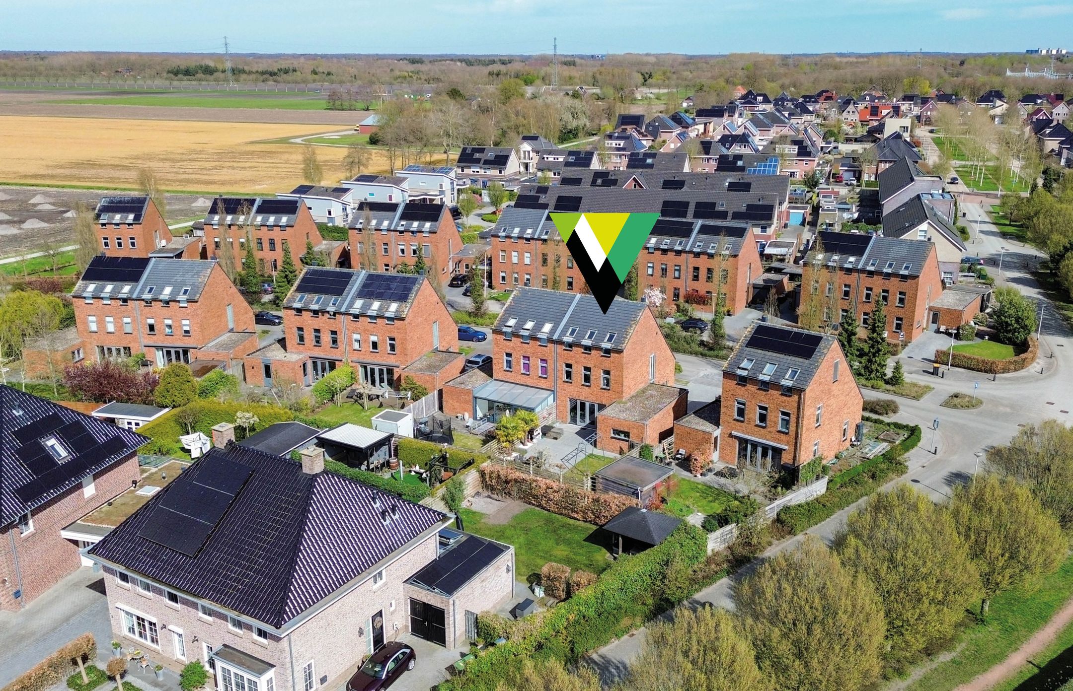 Photo 66 of Bosrank 55