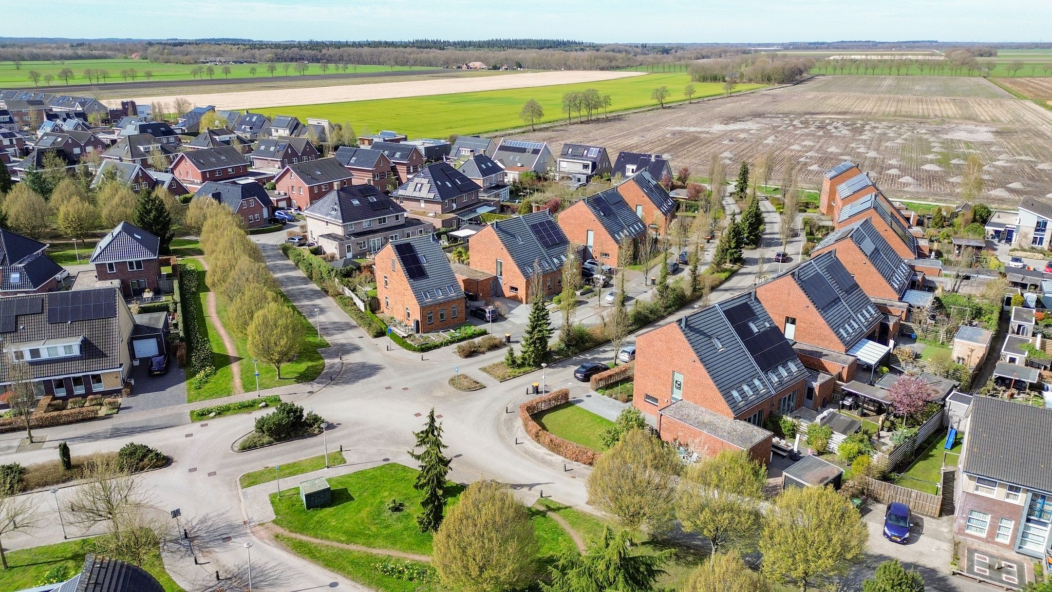 Photo 69 of Bosrank 55