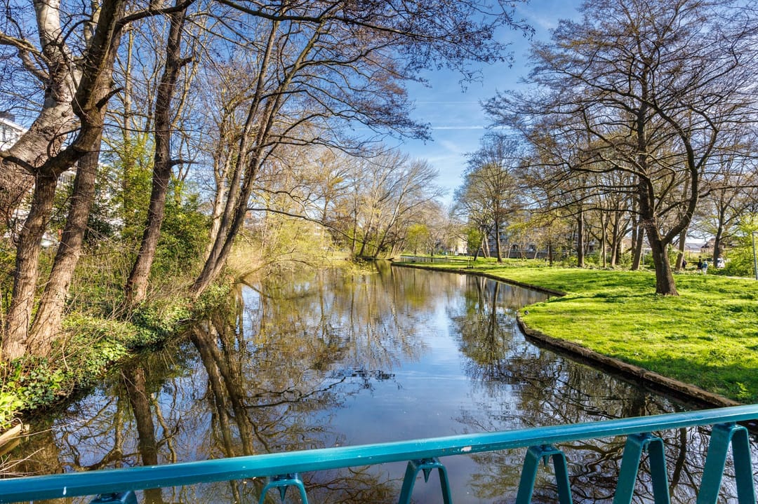 Photo 38 of Lelielaan 21