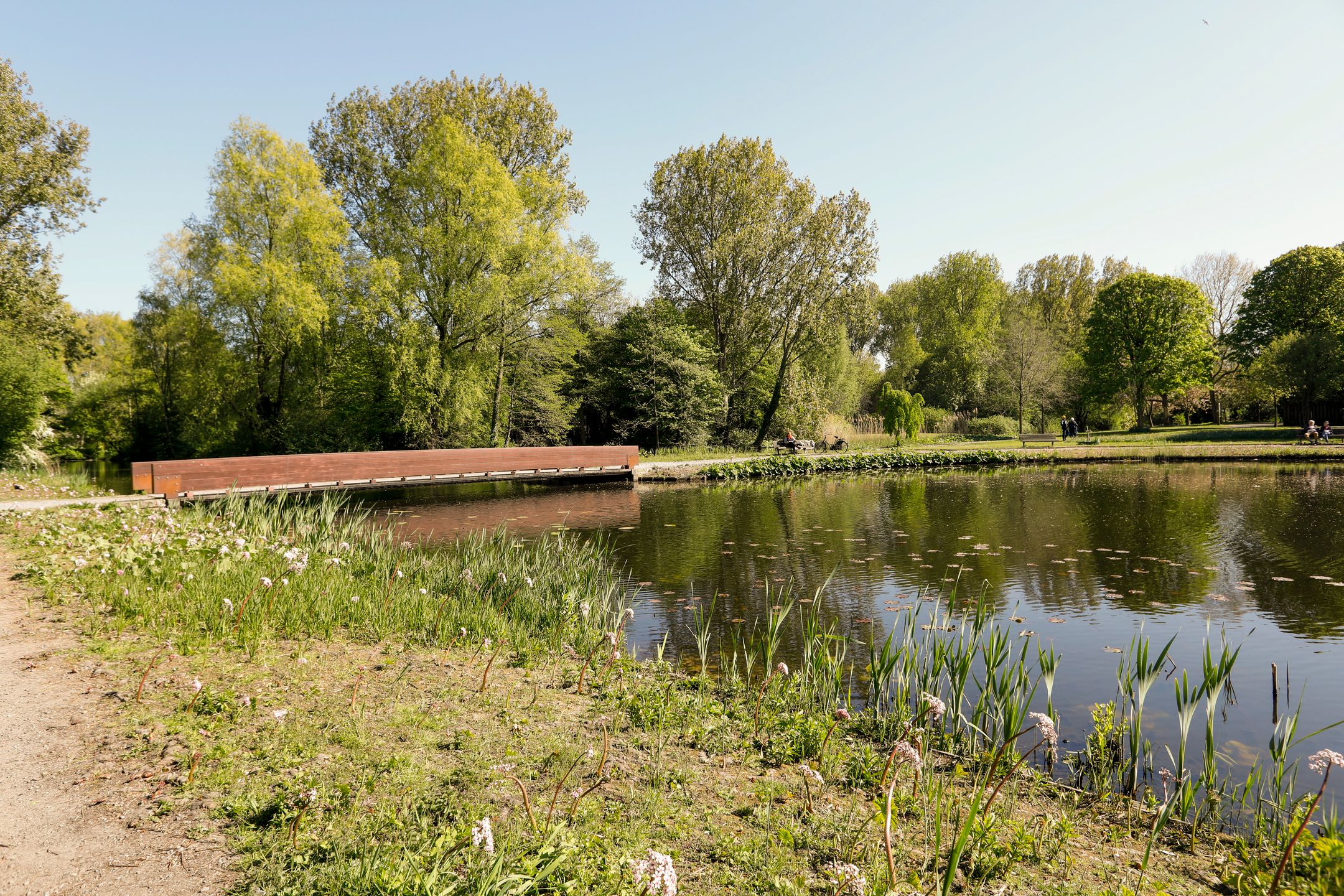 Photo 48 of Anthonie van Dijckstraat 11-H