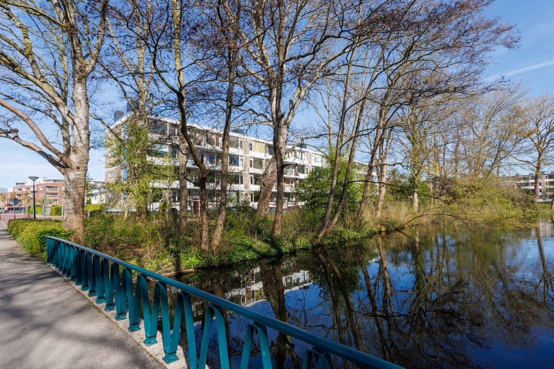 Photo 31 of Lelielaan 21