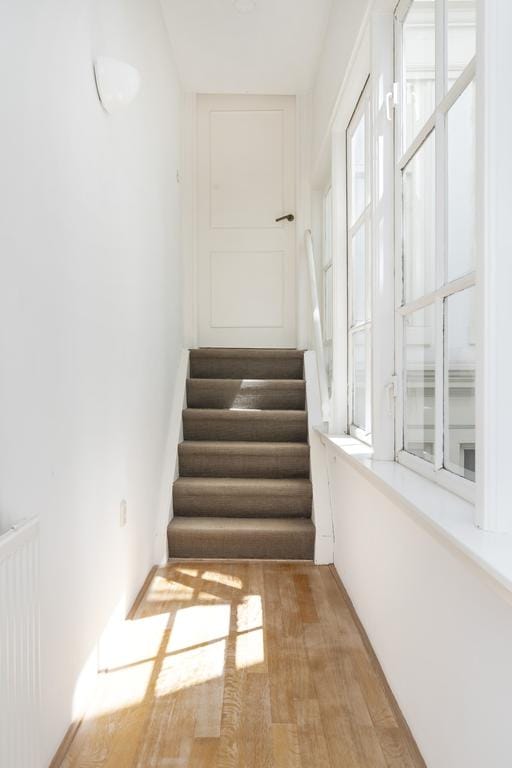 Foto 10 van Singel 91-C