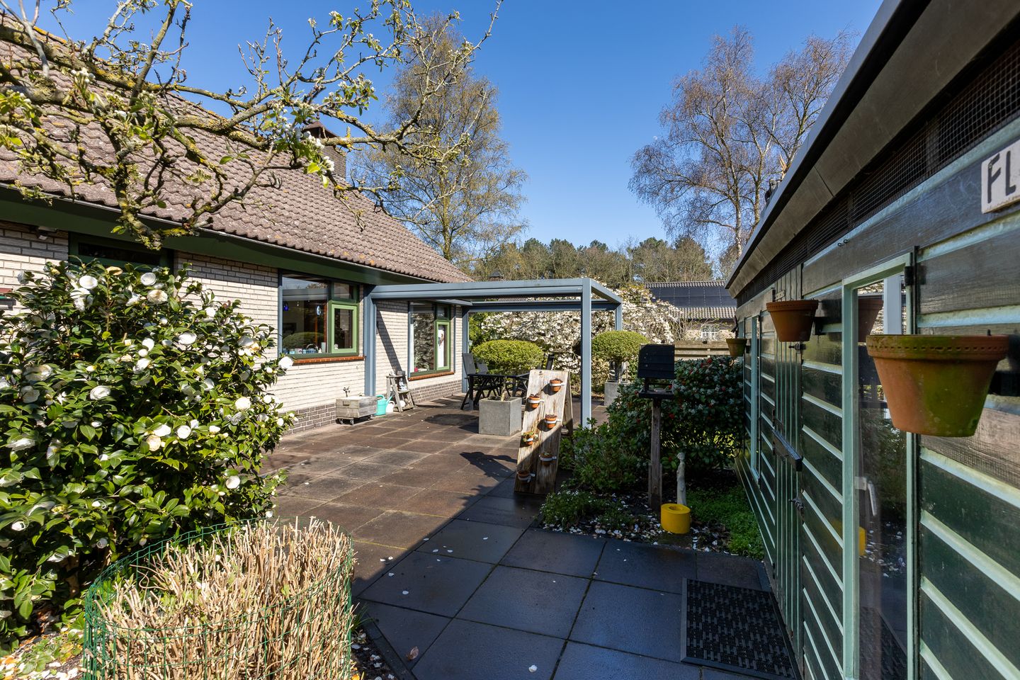 Foto 49 van Beukenlaan 12