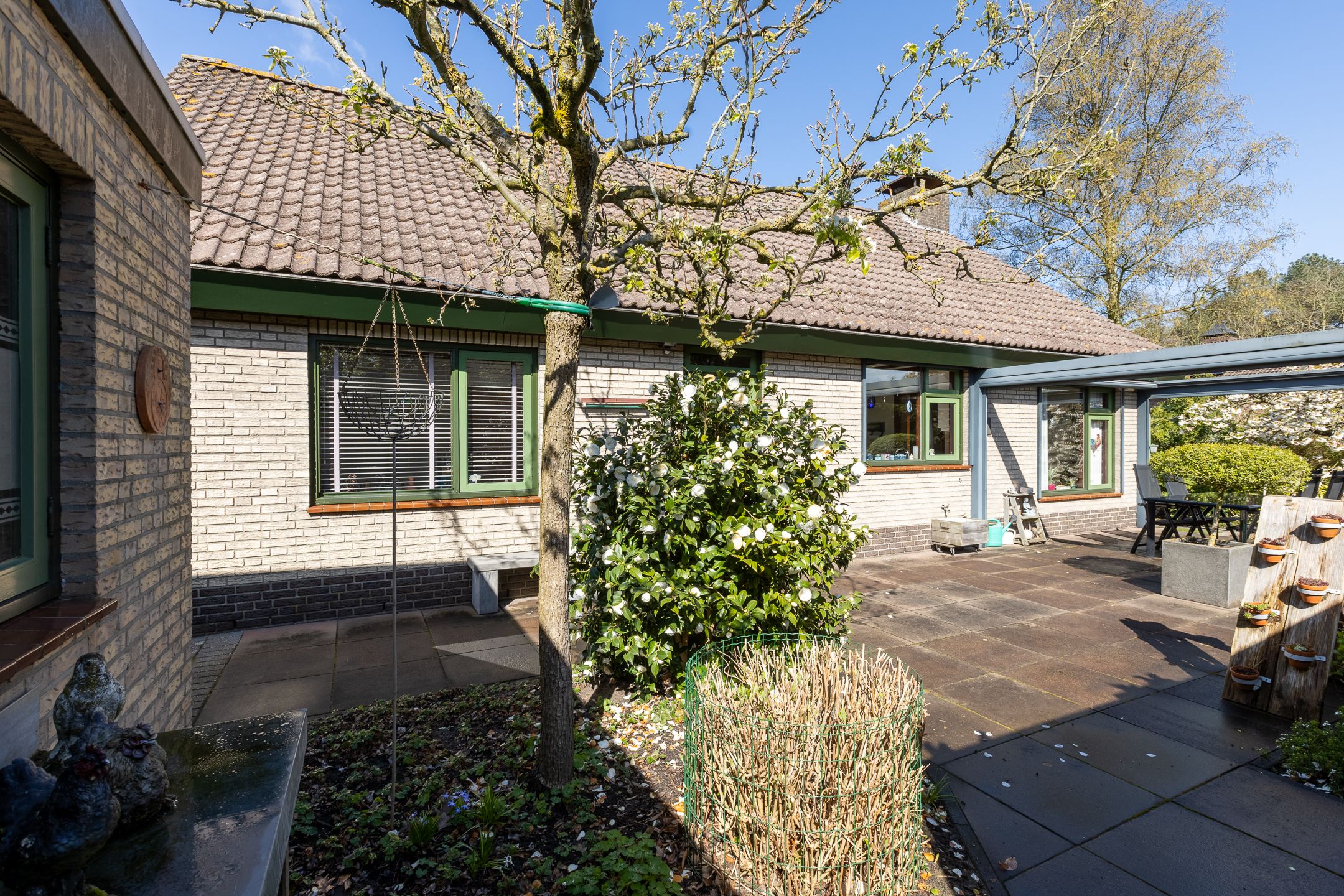 Foto 48 van Beukenlaan 12