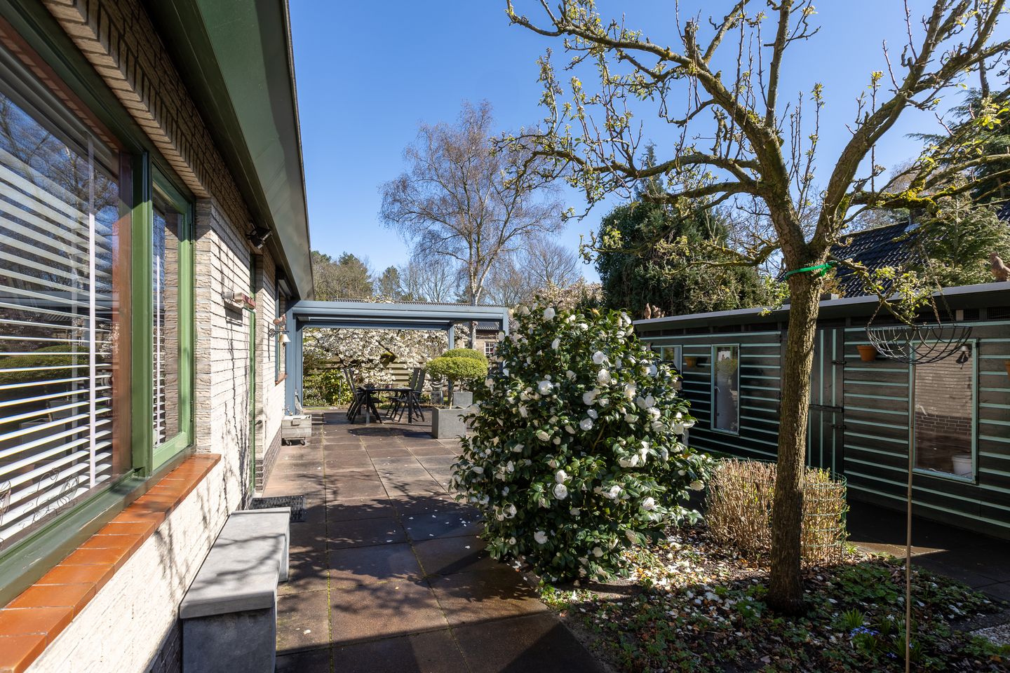 Foto 50 van Beukenlaan 12