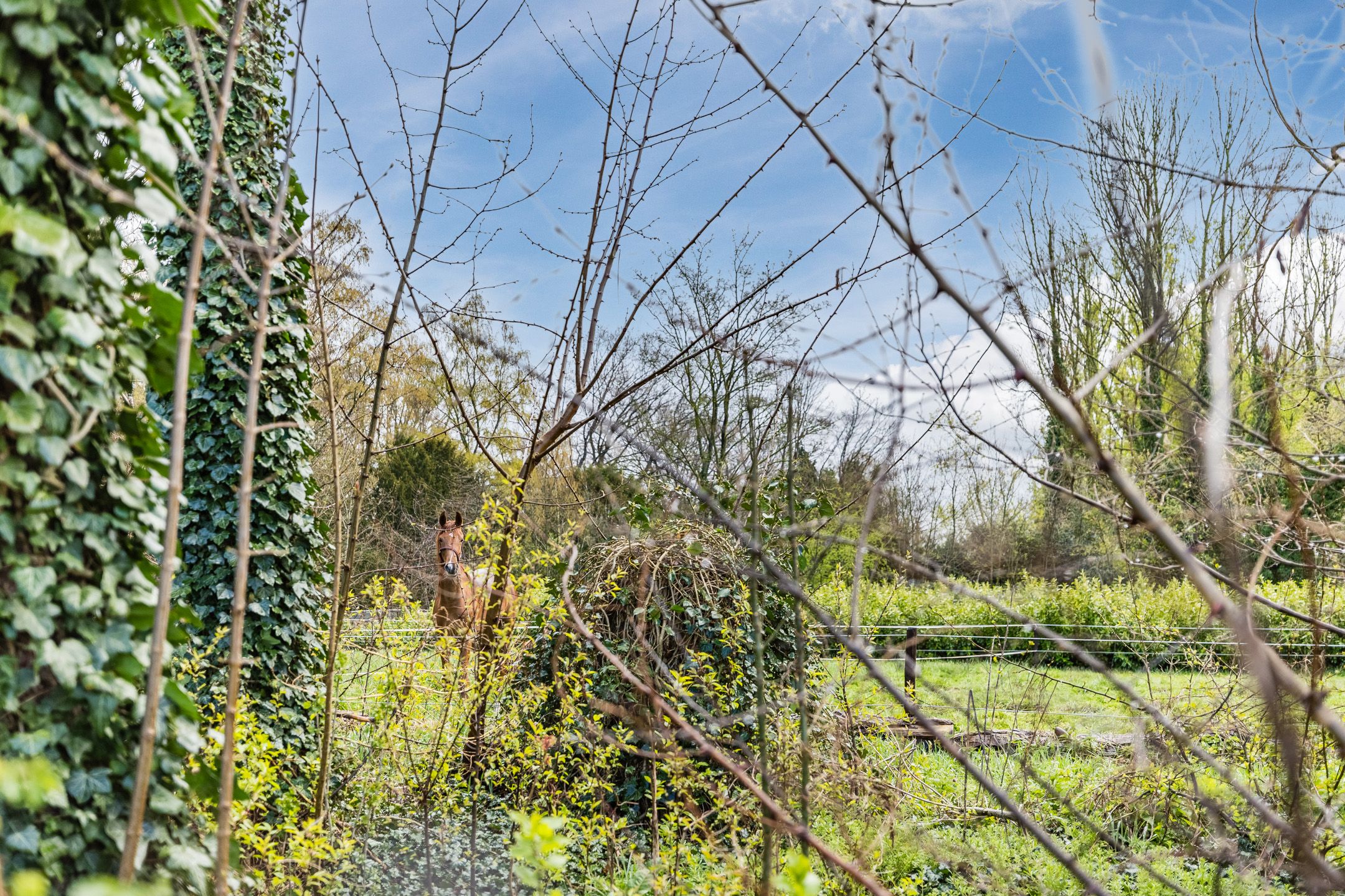 Foto 30 van Beneluxlaan 11