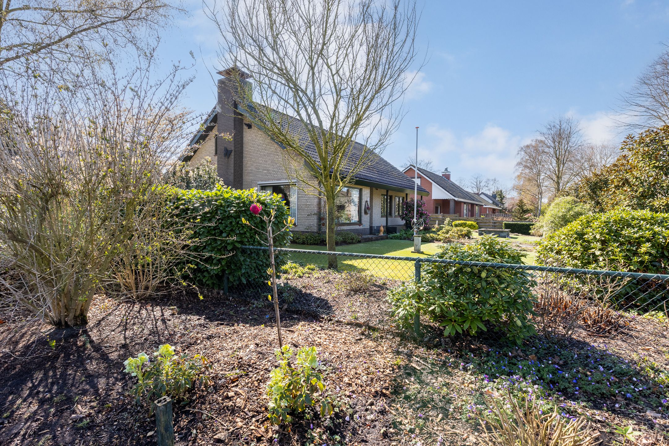 Foto 45 van Beukenlaan 12