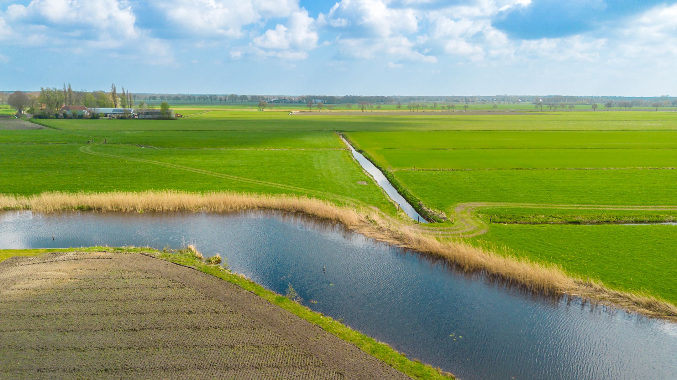 Photo 18 of Piperaai 20