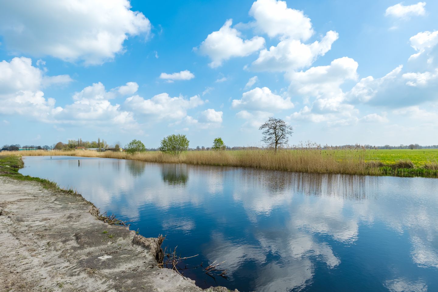 Photo 19 of Piperaai 20