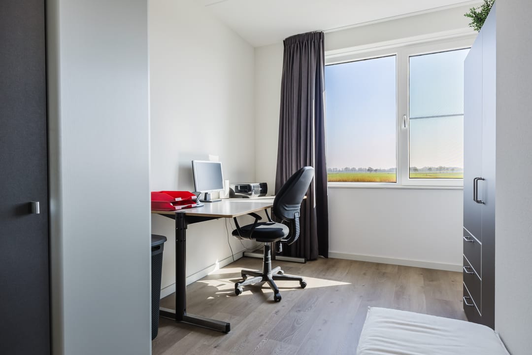 Photo 46 of Piperaai 20