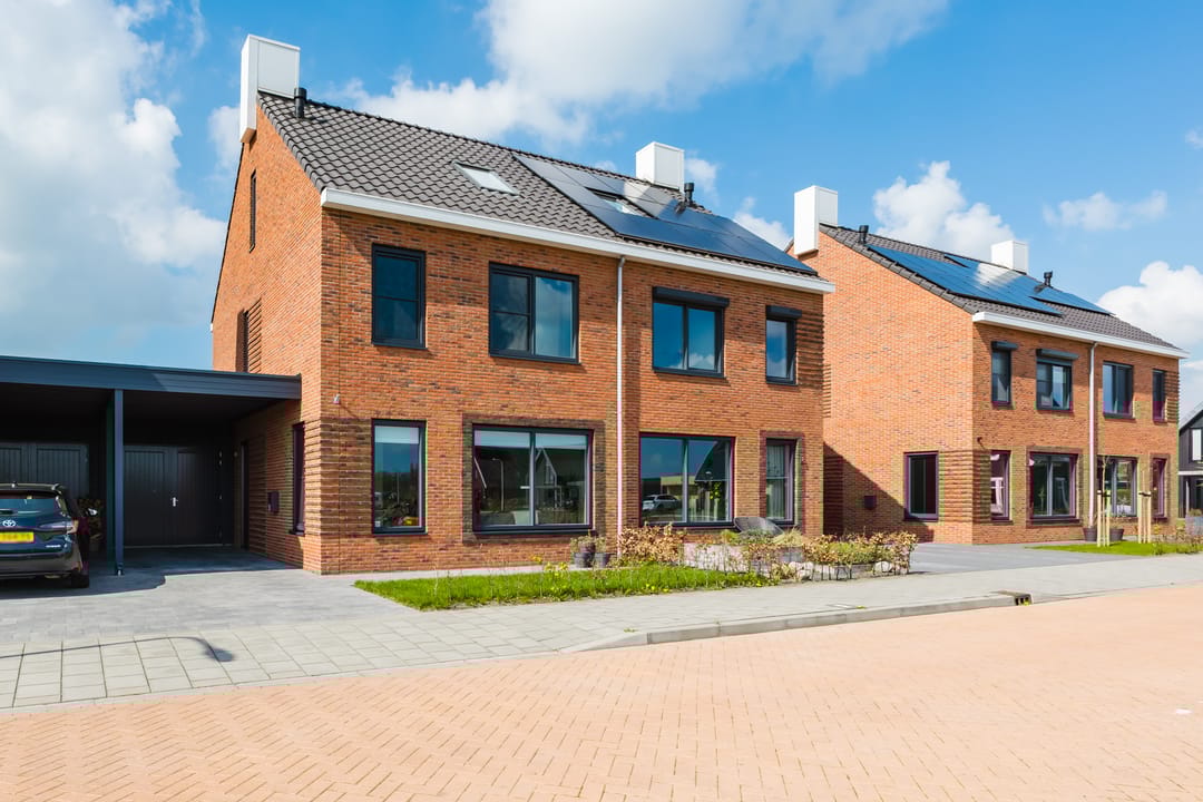 Photo 1 of Piperaai 20