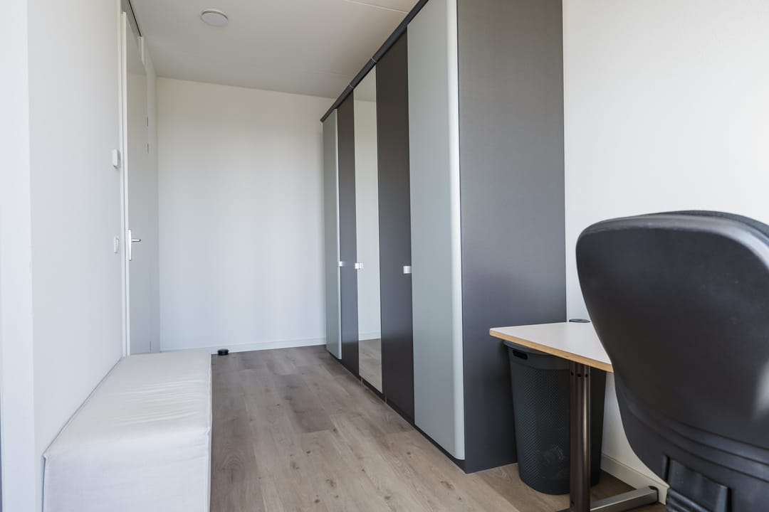 Photo 47 of Piperaai 20