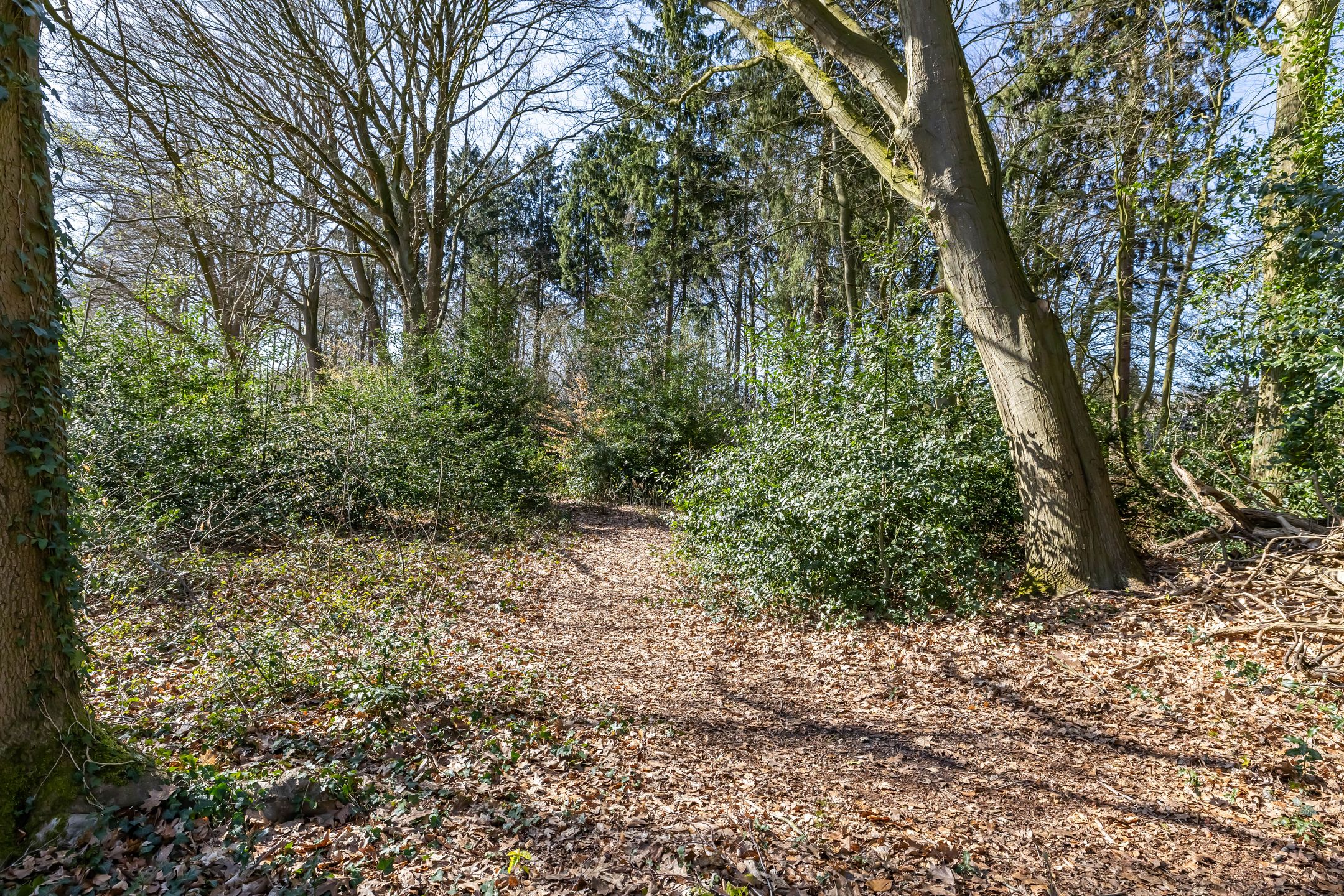 Foto 36 van de Hilde 17