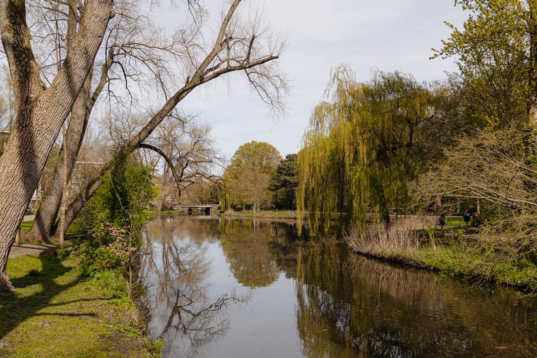 Foto 32 van Beethovenstraat 135-4