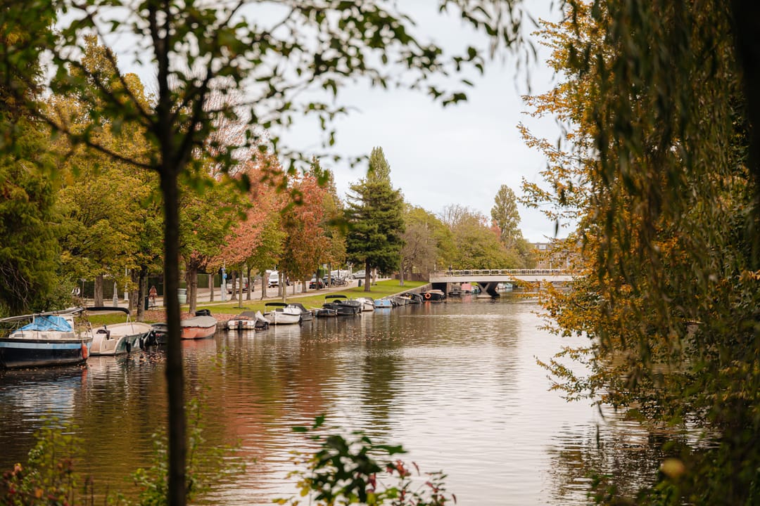 Foto 31 van Beethovenstraat 135-4