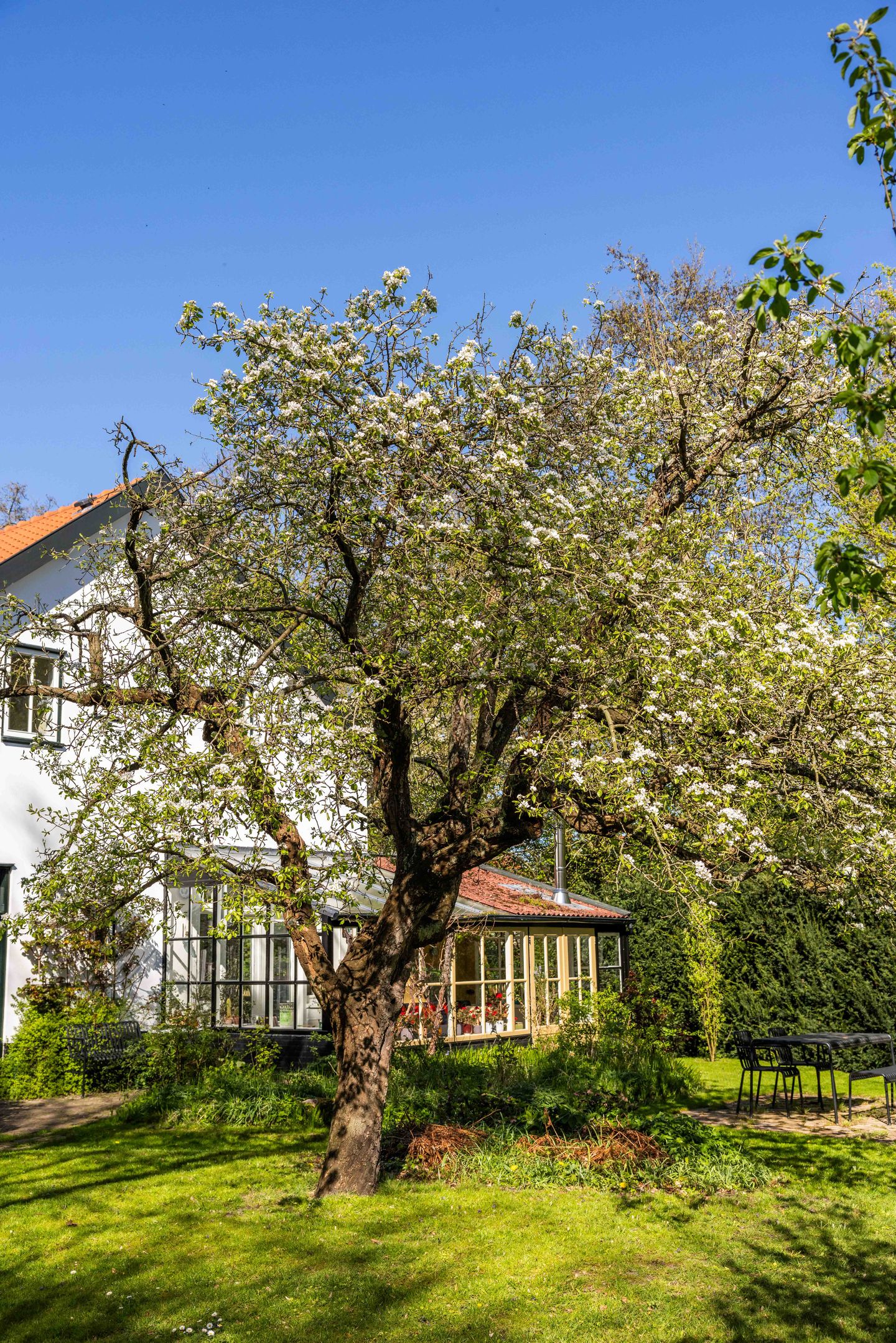 Foto 49 van Natteweg 44