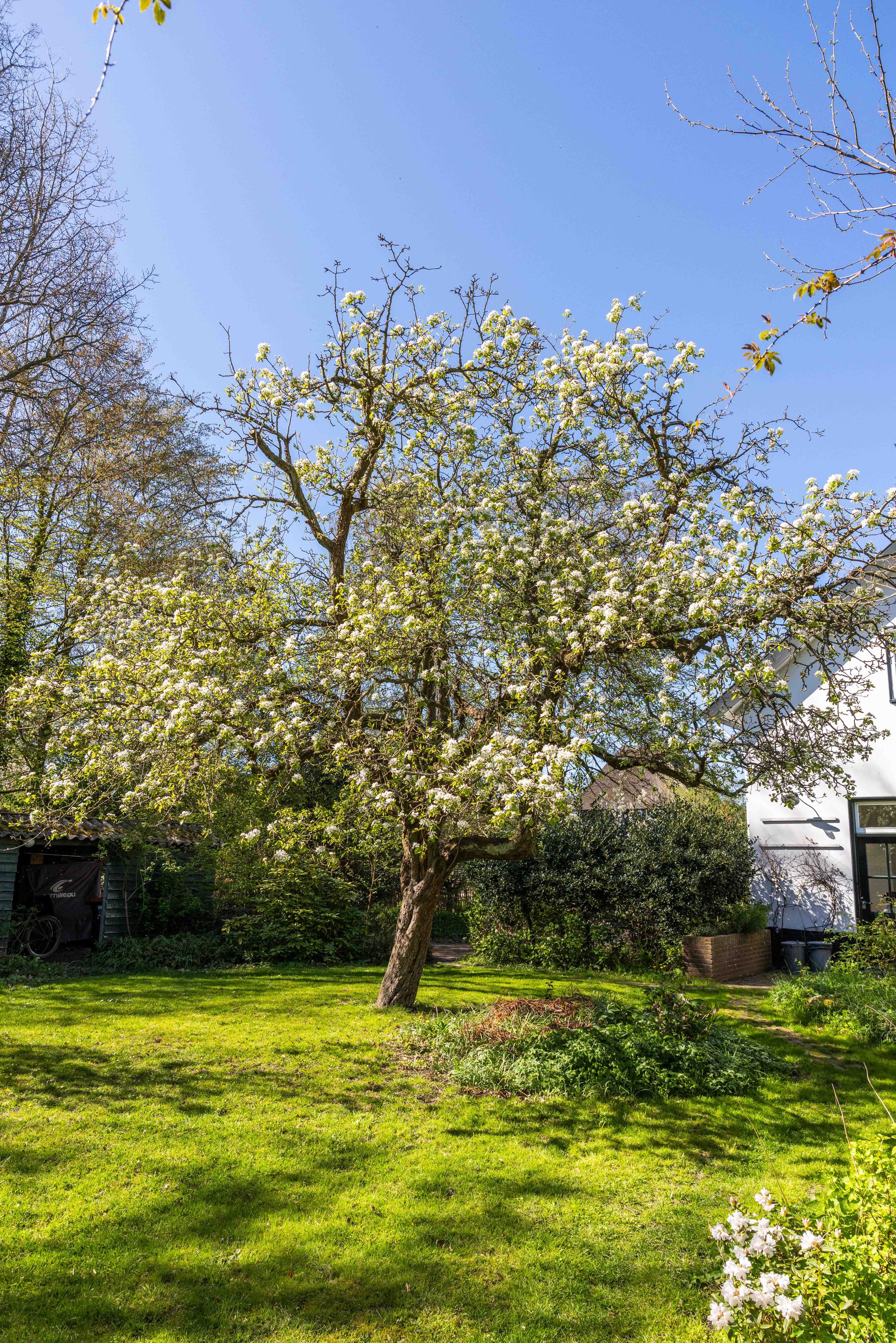 Foto 51 van Natteweg 44