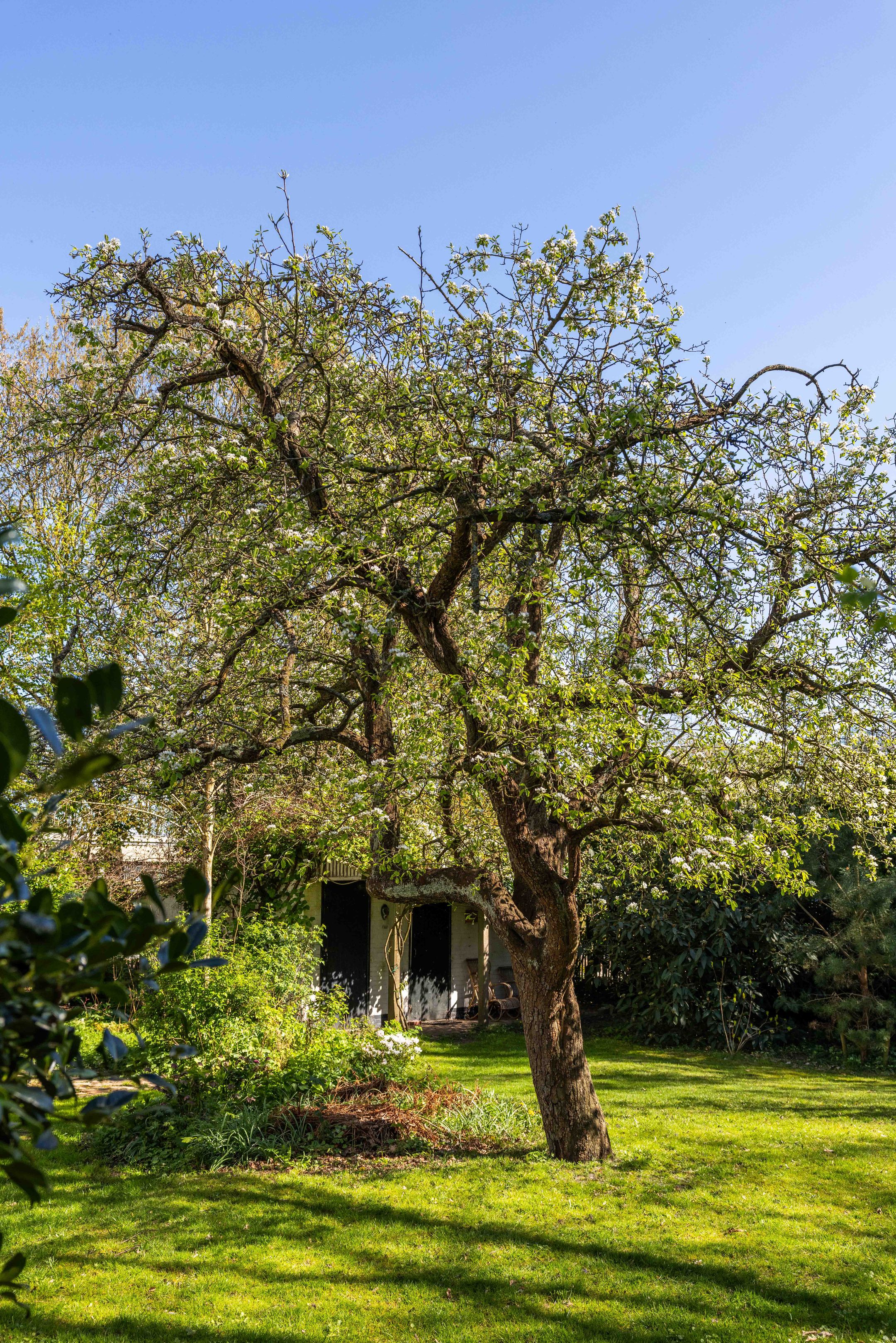 Foto 54 van Natteweg 44