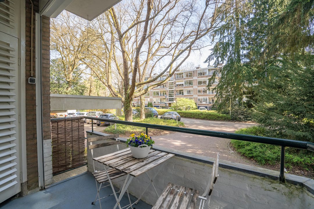 Foto 28 van Park de Kotten 137