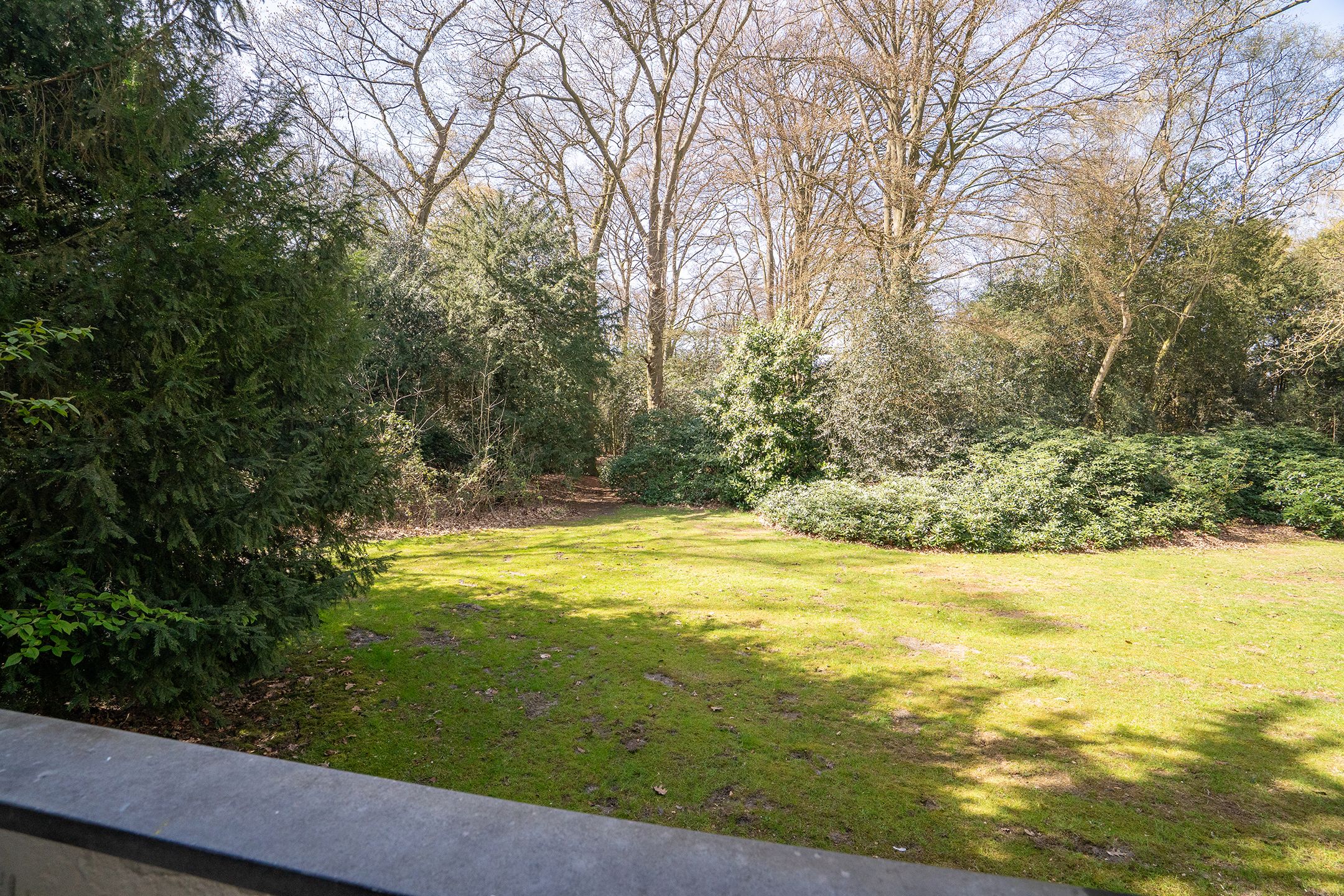 Foto 30 van Park de Kotten 137