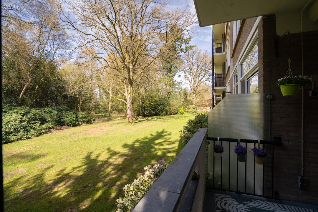 Foto 31 van Park de Kotten 137