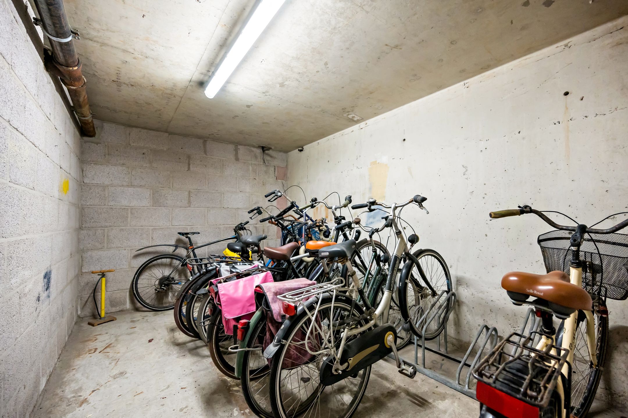 Foto 51 van Rederserf 124