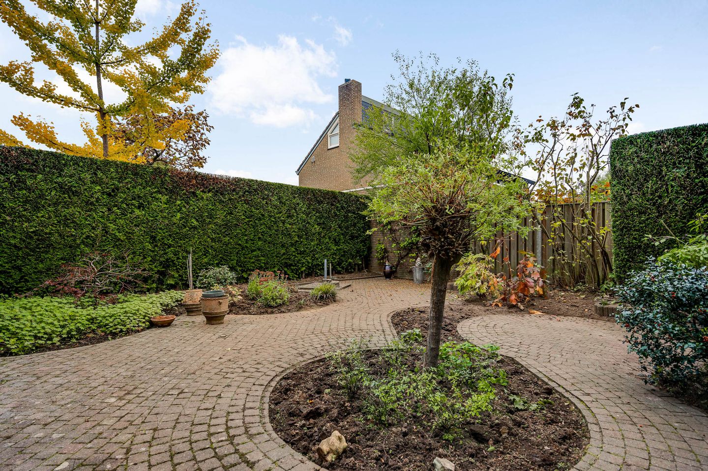 Foto 34 van Zwanenzetel 5