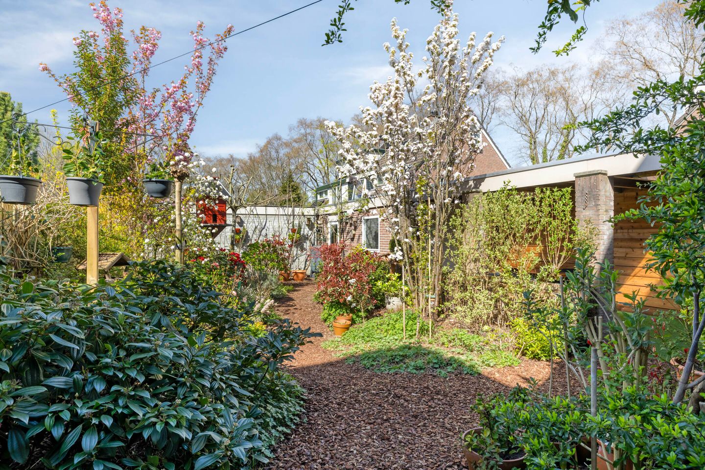 Foto 34 van Oosterwijklaan 6