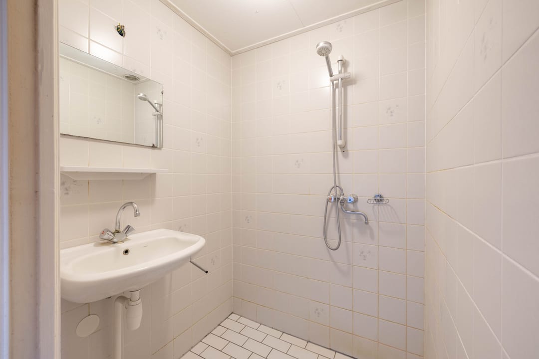 Foto 17 van Zwanebloemstraat 10