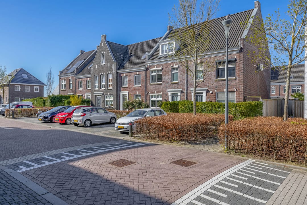 Foto 7 van Forsythia 38