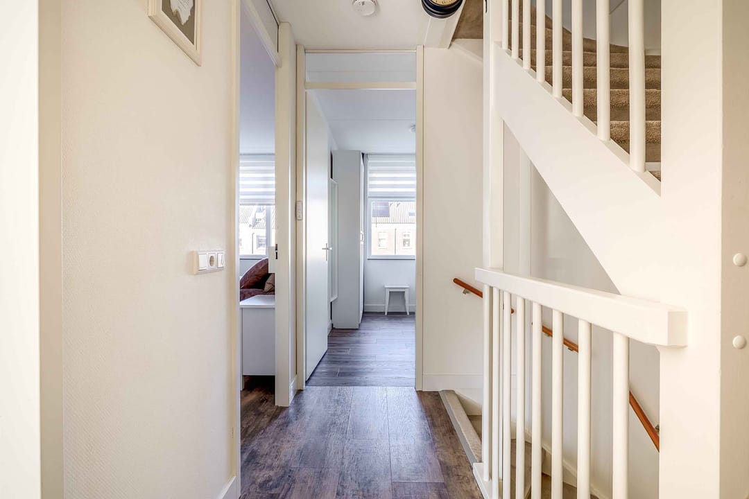 Foto 16 van Forsythia 38