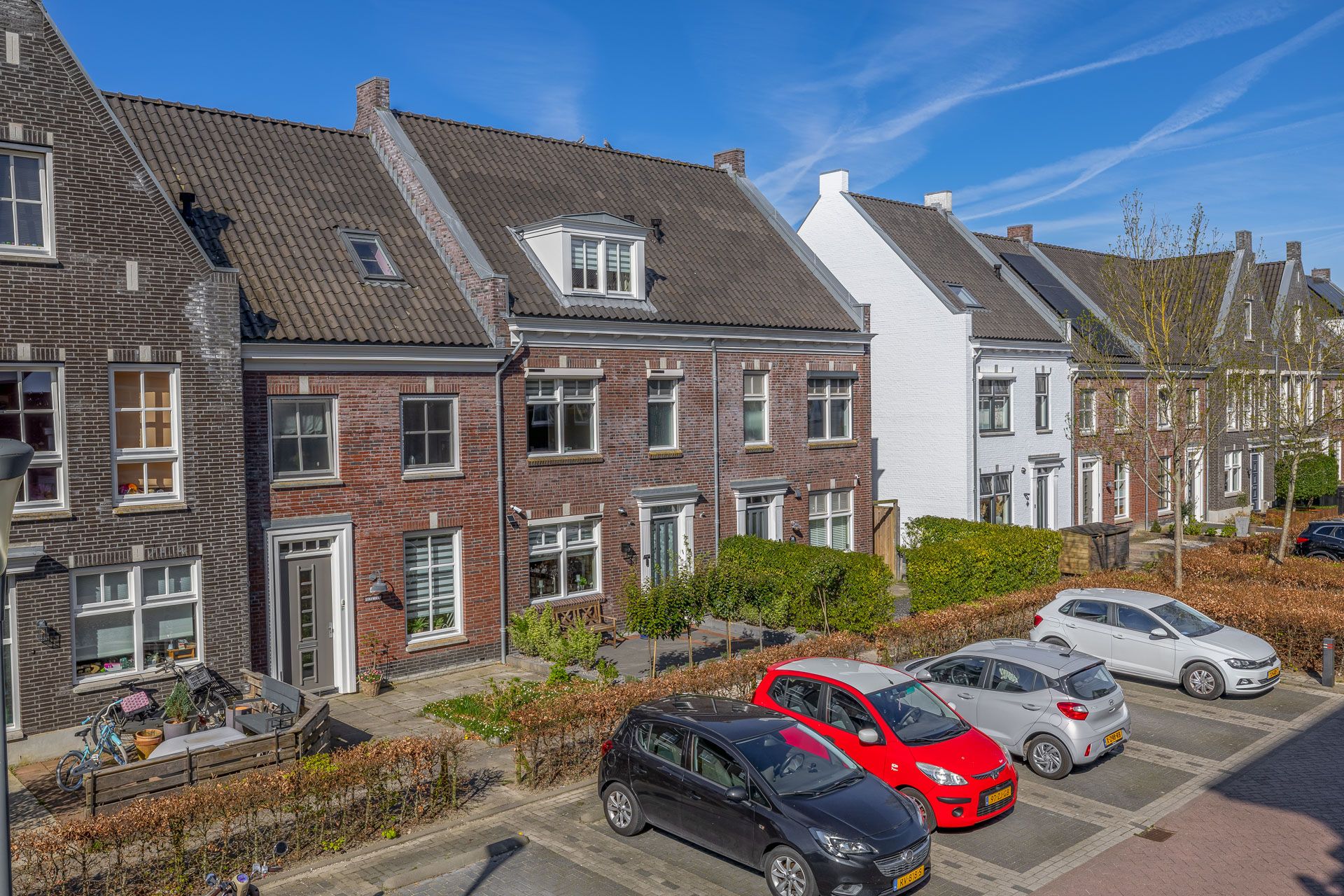 Foto 6 van Forsythia 38