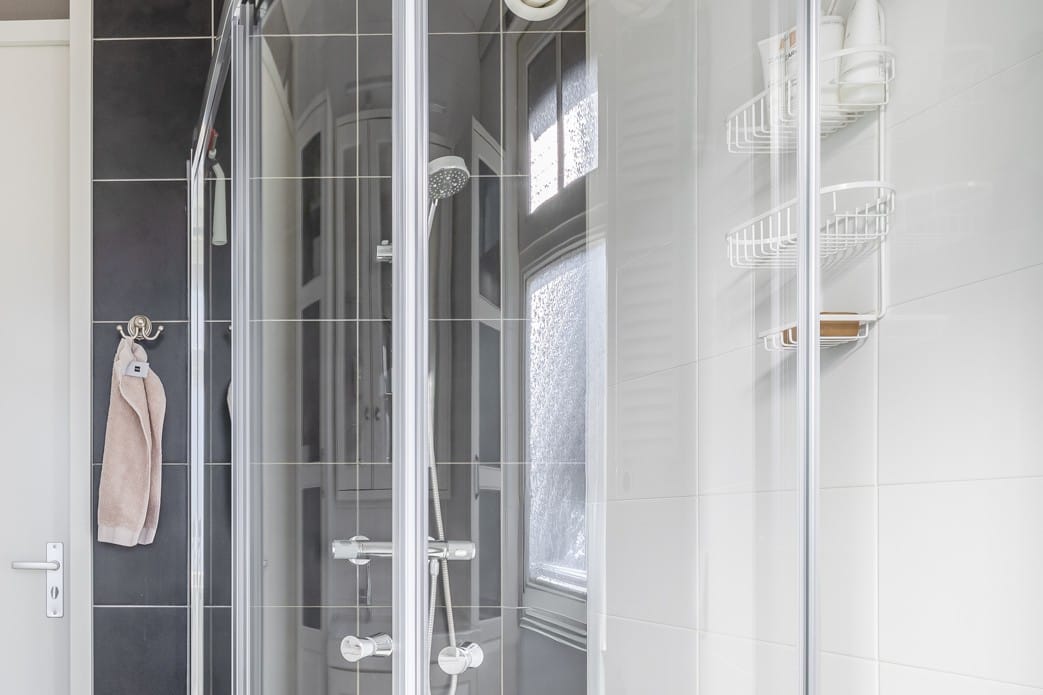 Foto 24 van Forsythia 38