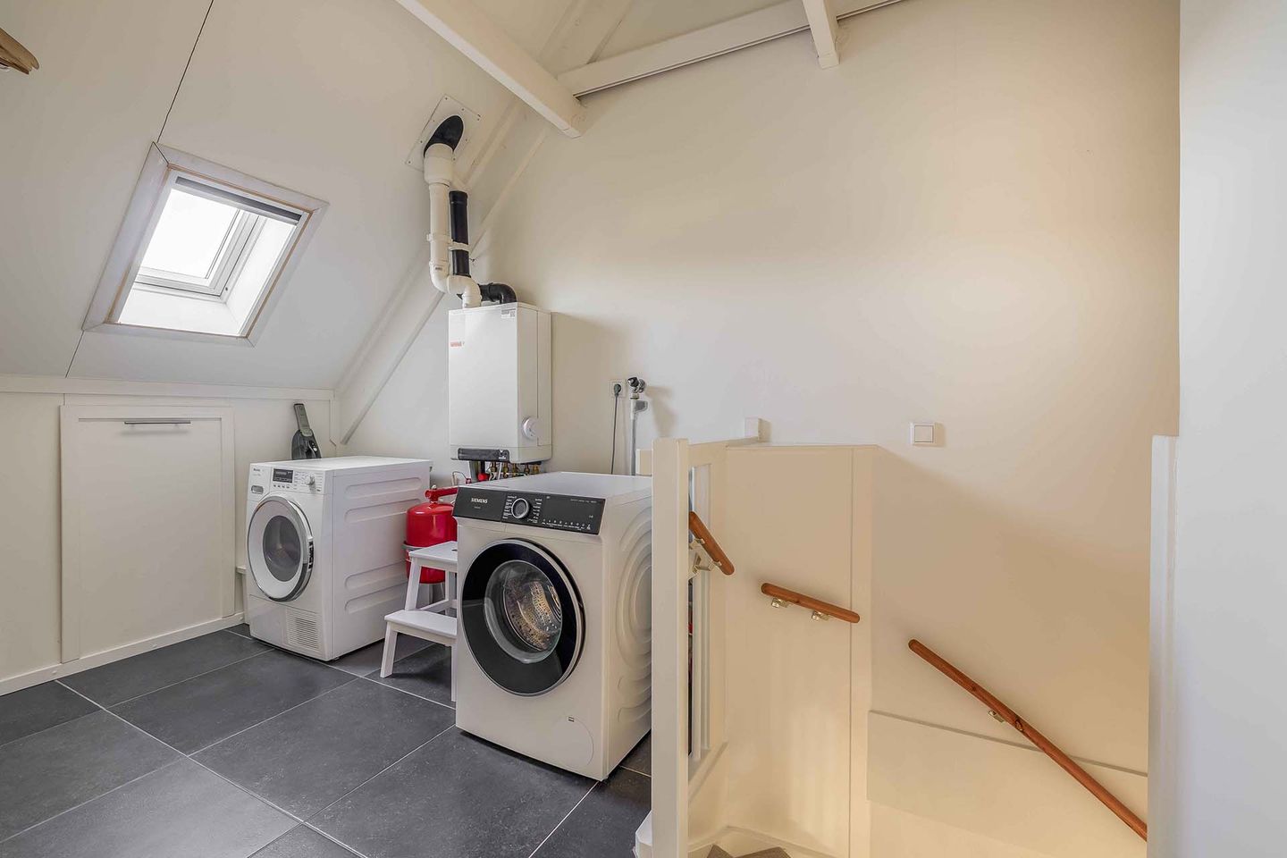 Foto 25 van Forsythia 38