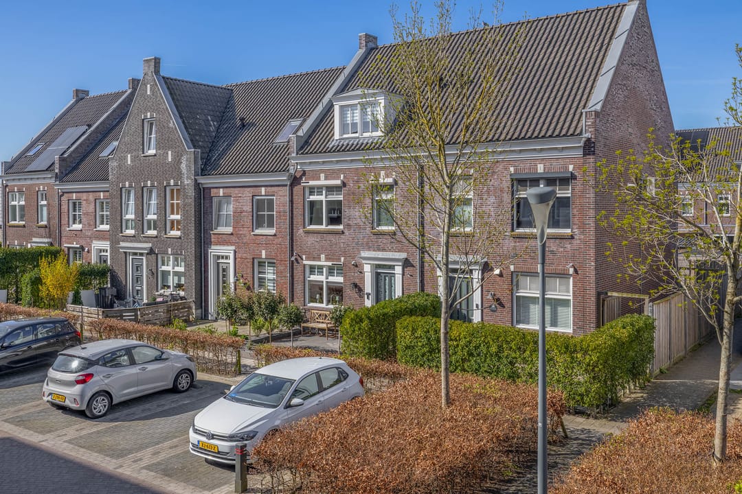 Foto 1 van Forsythia 38