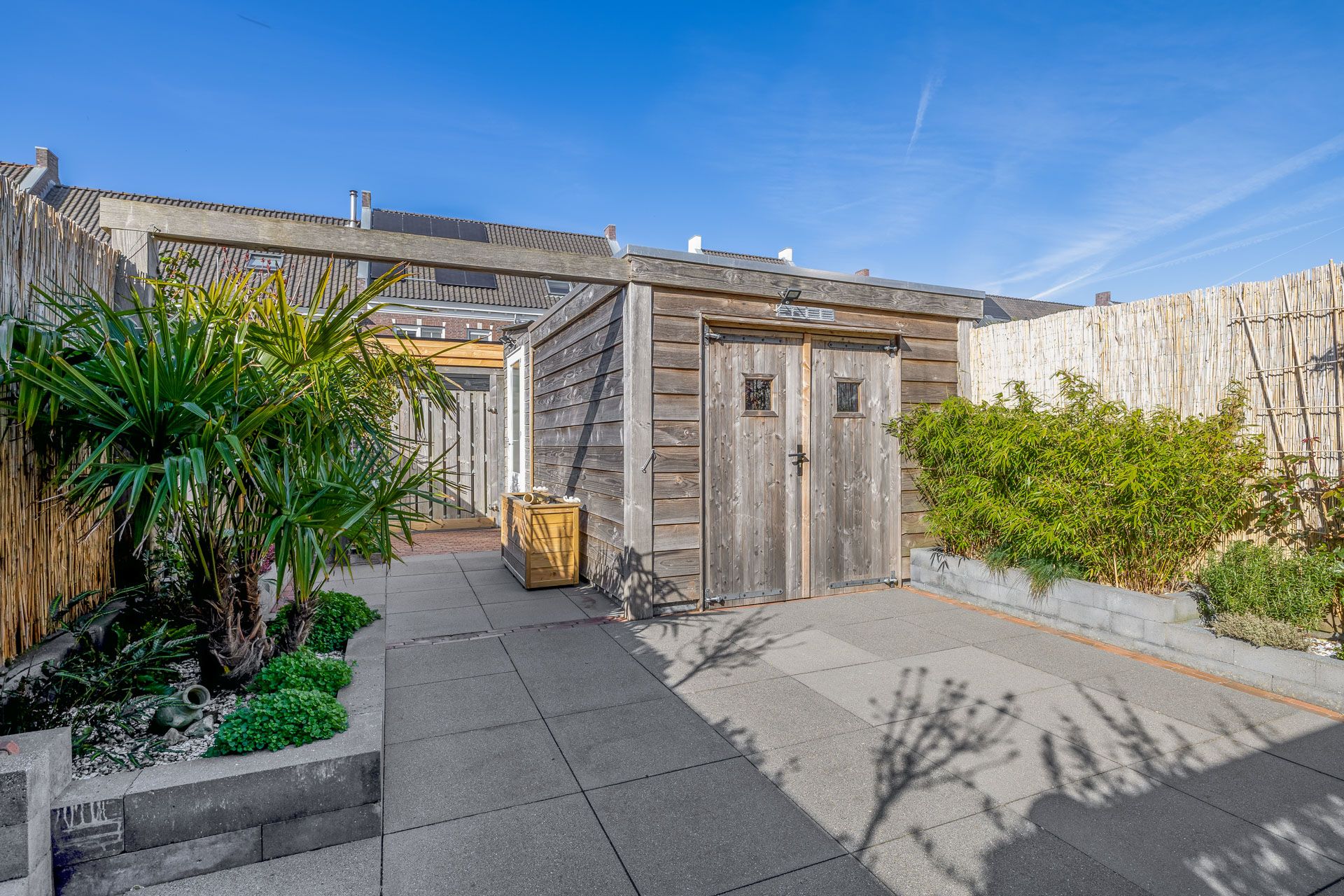 Foto 30 van Forsythia 38