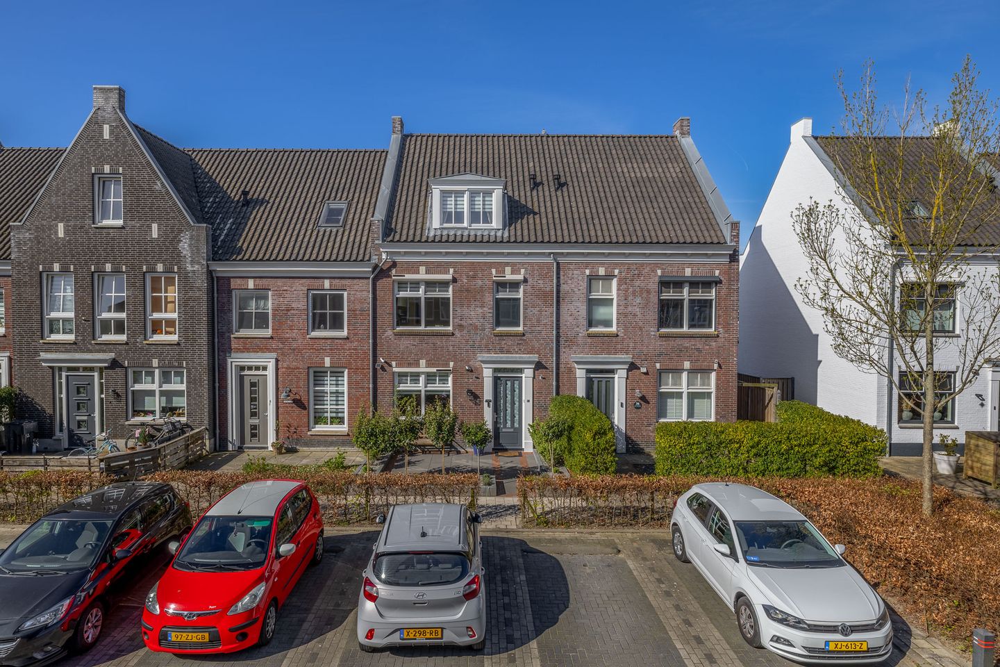 Foto 5 van Forsythia 38