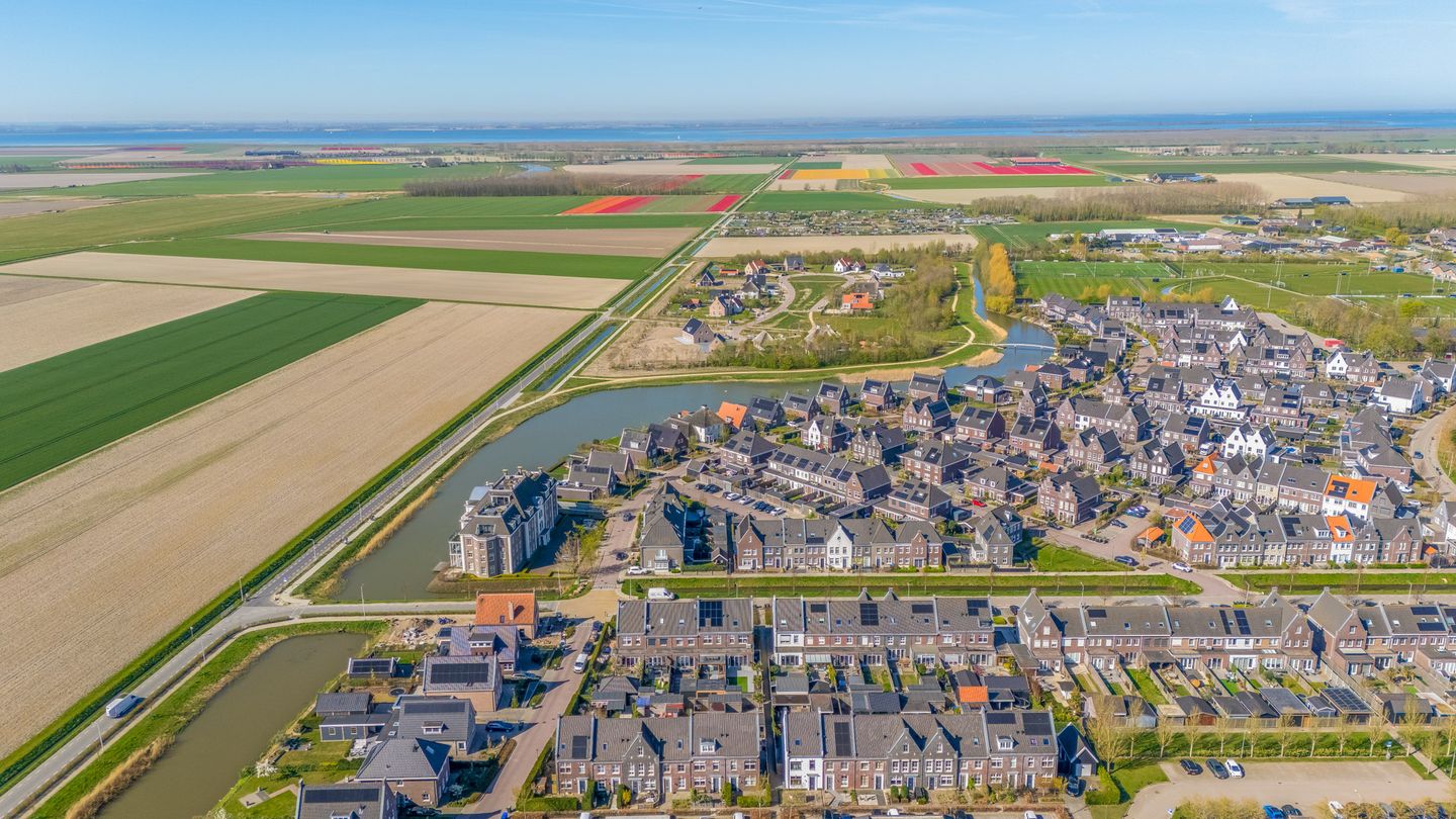 Foto 35 van Forsythia 38