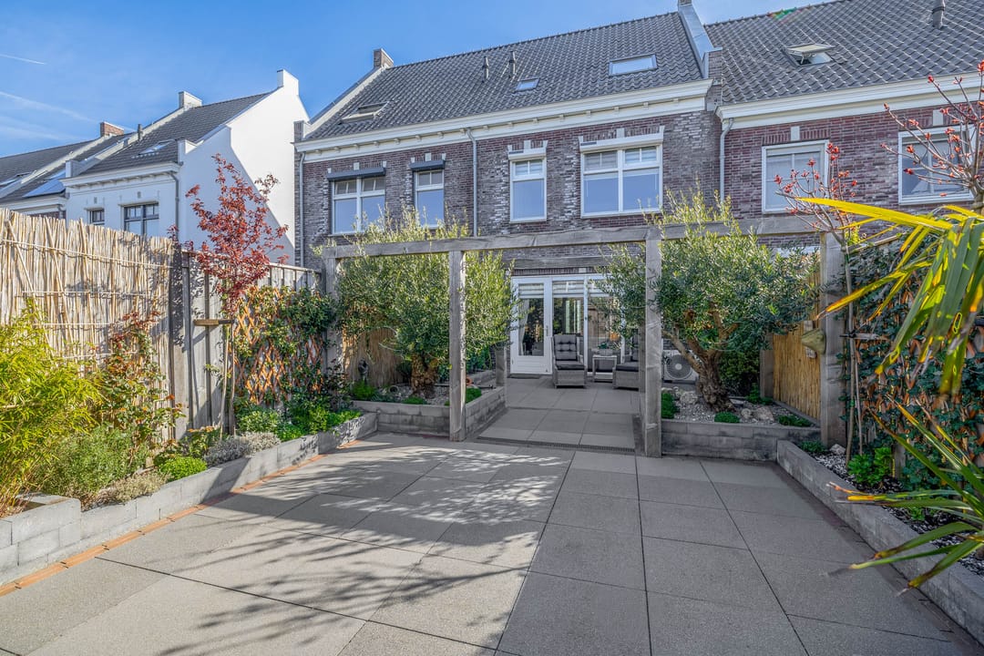 Foto 31 van Forsythia 38