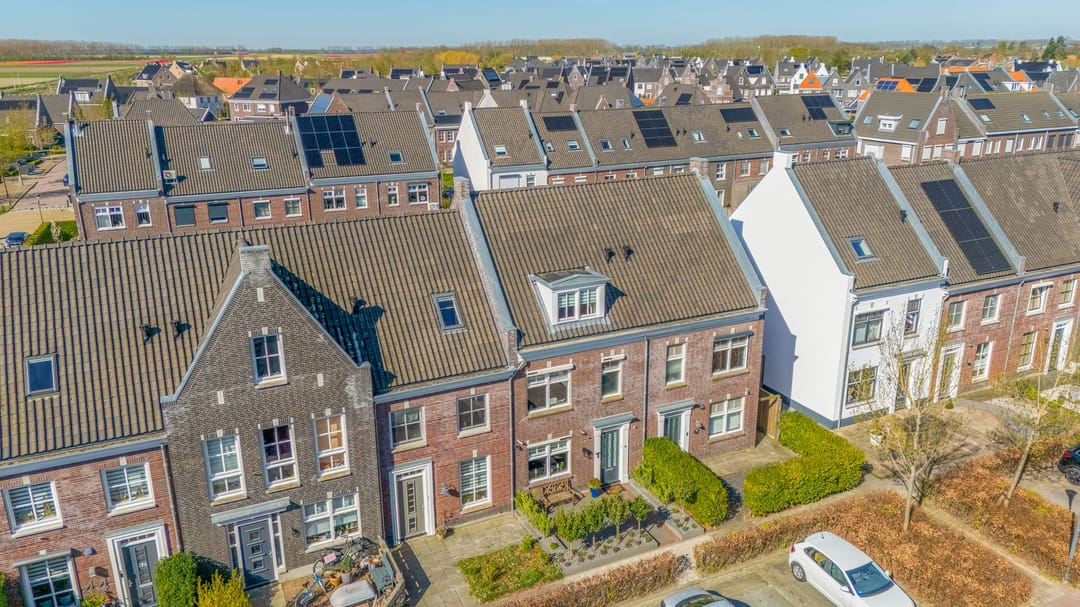 Foto 32 van Forsythia 38