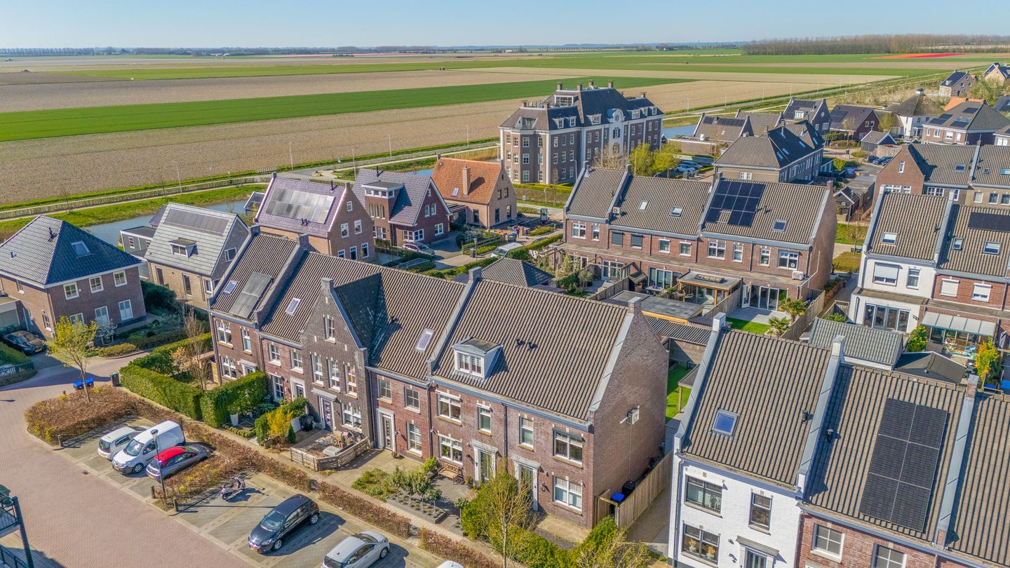 Foto 34 van Forsythia 38