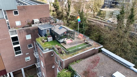 Sonsbeeksingel thumbnail