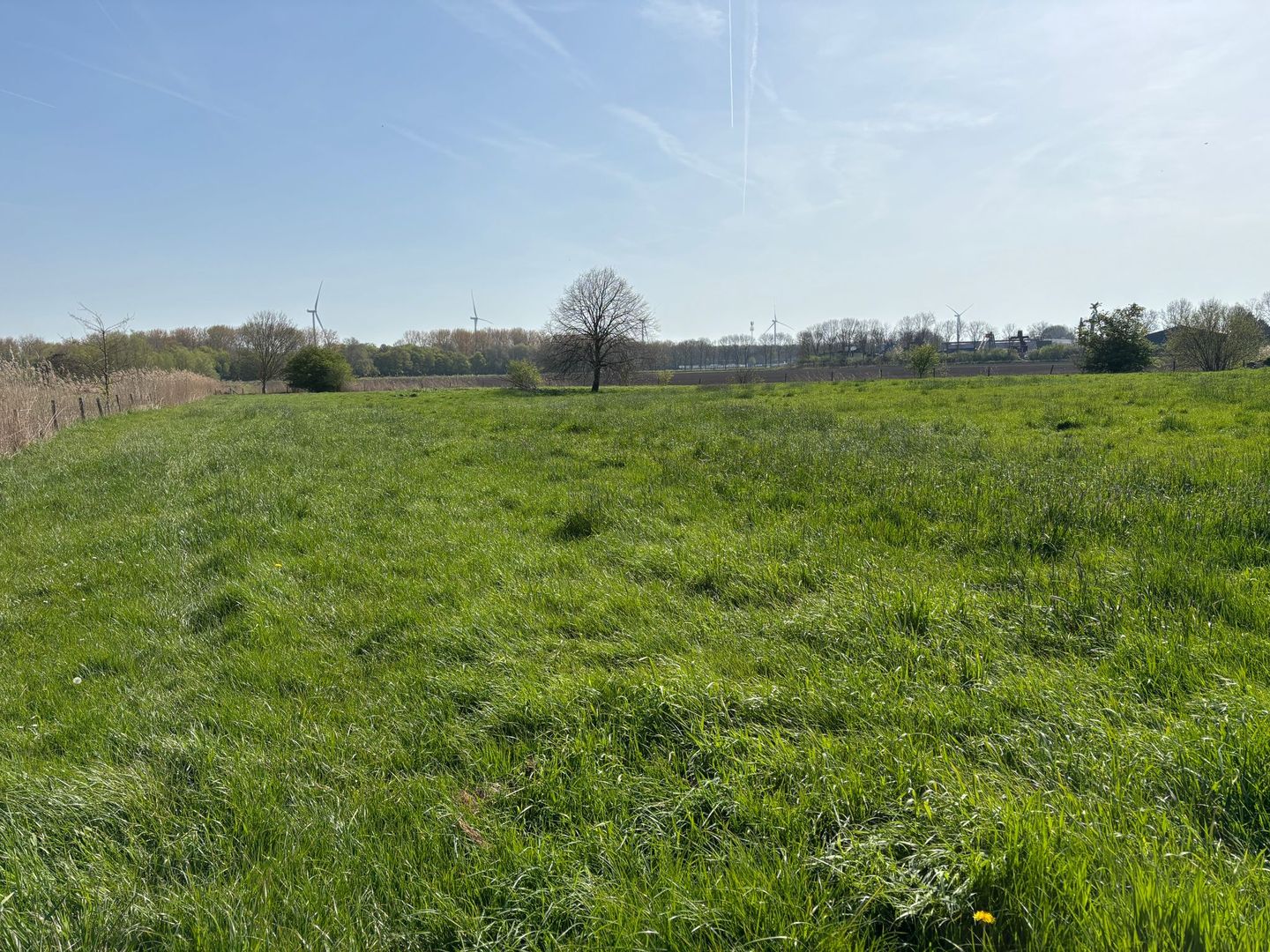 Bekijk foto 5 van Schansweg