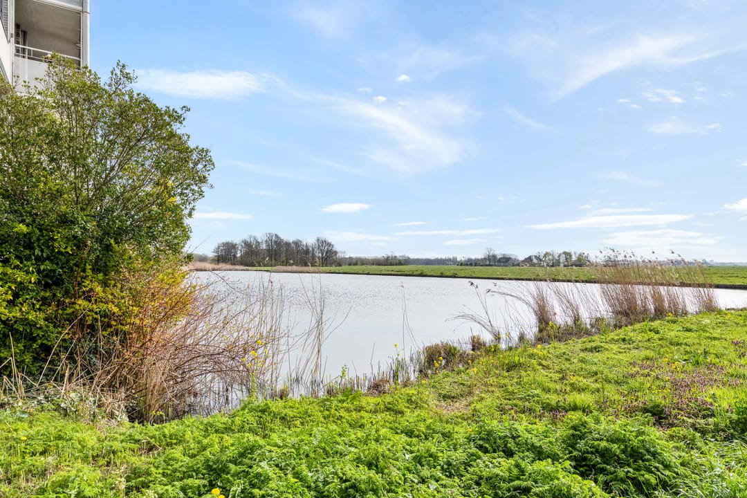 Foto 41 van Libanonstraat 19