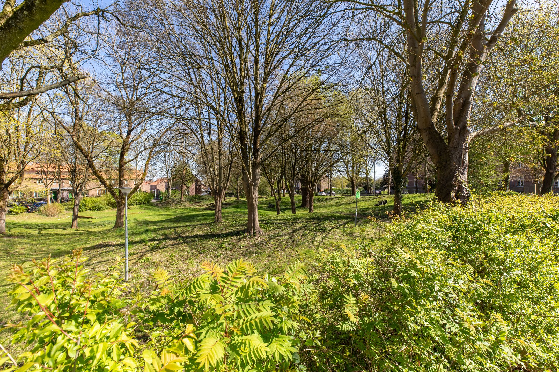 Foto 24 van Bankastraat 9