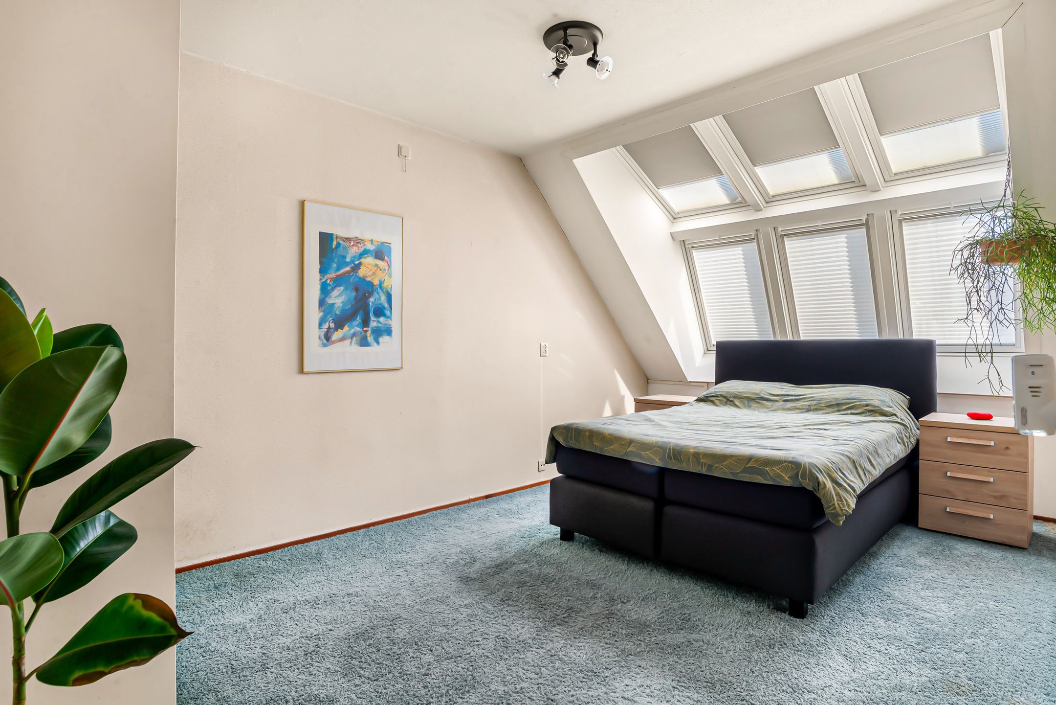 Foto 30 van Floraronde 20