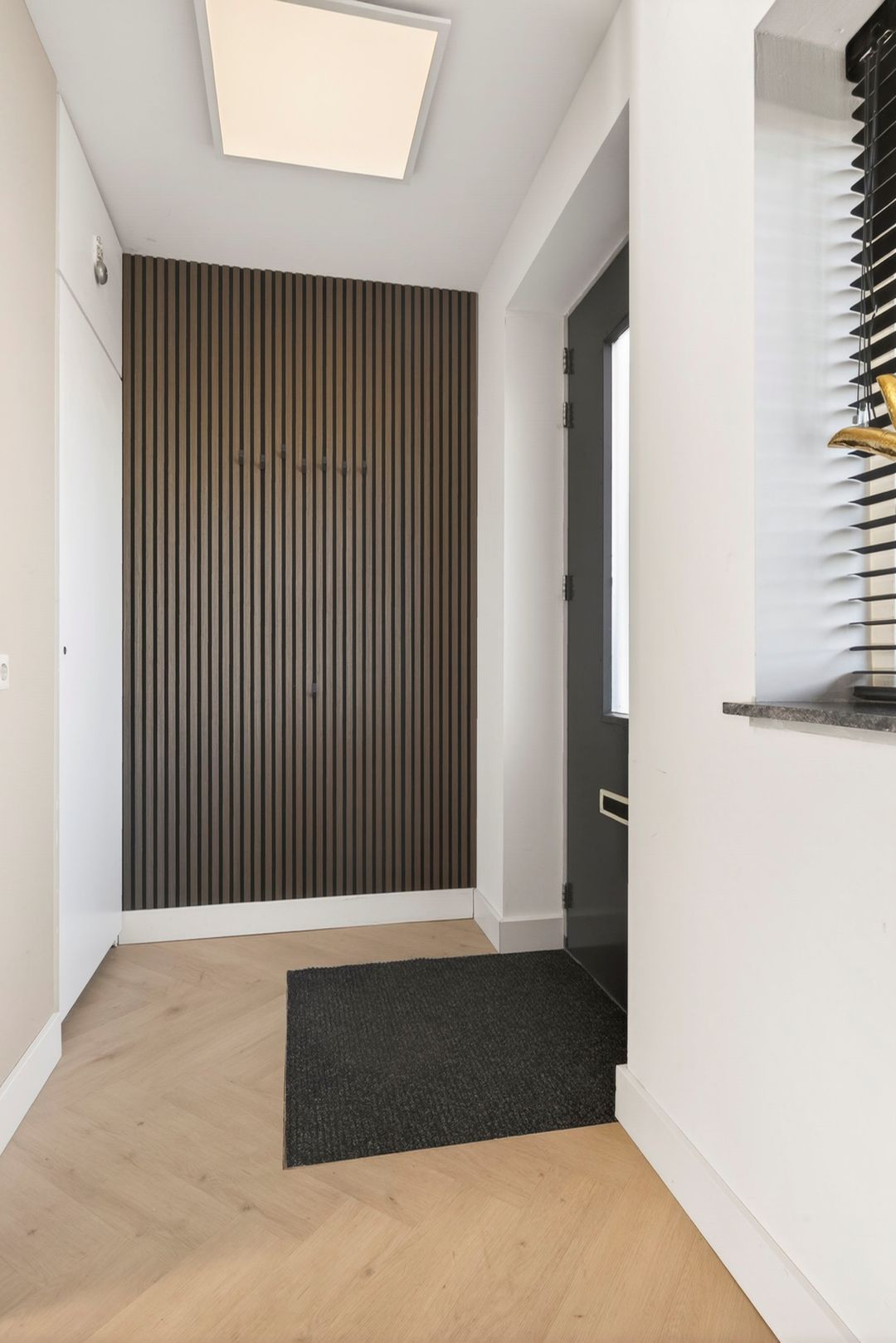 Photo 46 of Zeevaart 295