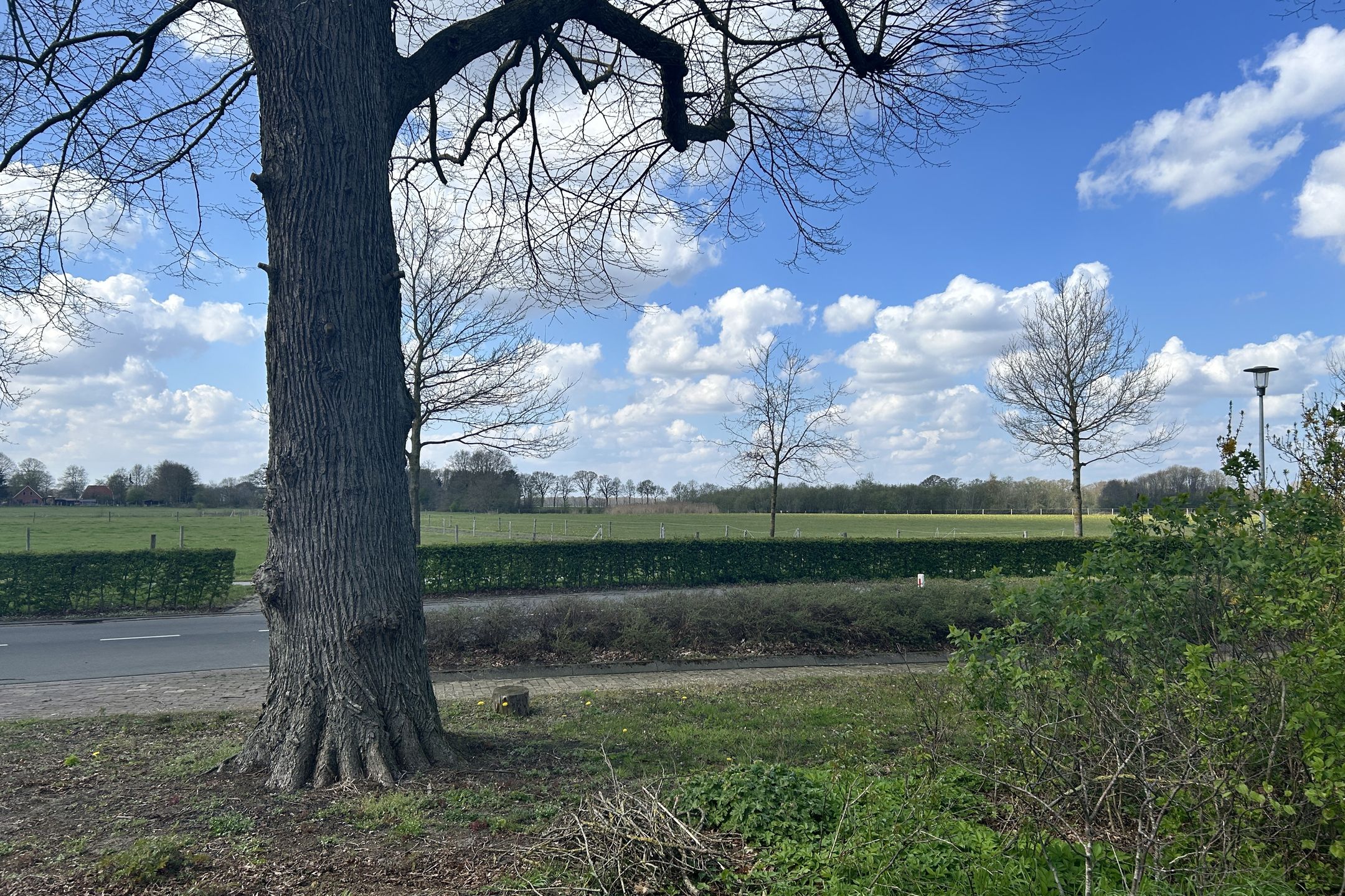 Foto 3 van Wollinghuizerweg