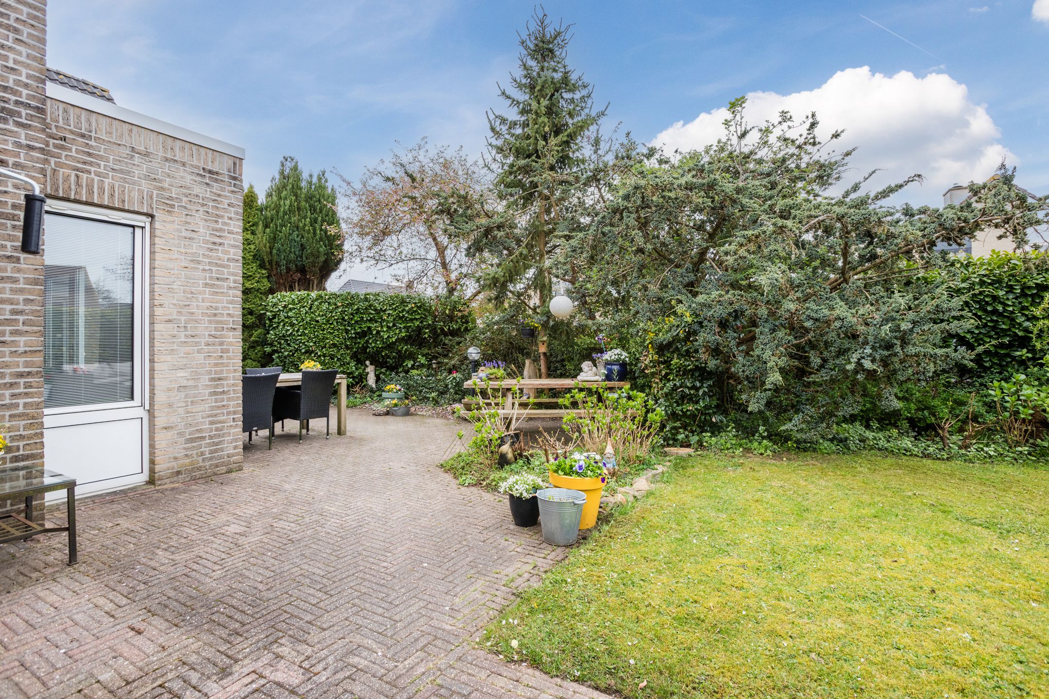 Foto 48 van Groenland 6