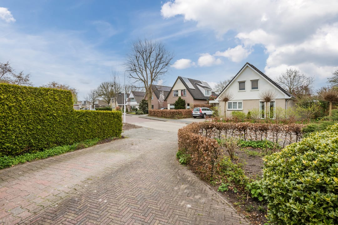 Foto 8 van Groenland 6